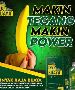 MINYAK RAJA BUAYA