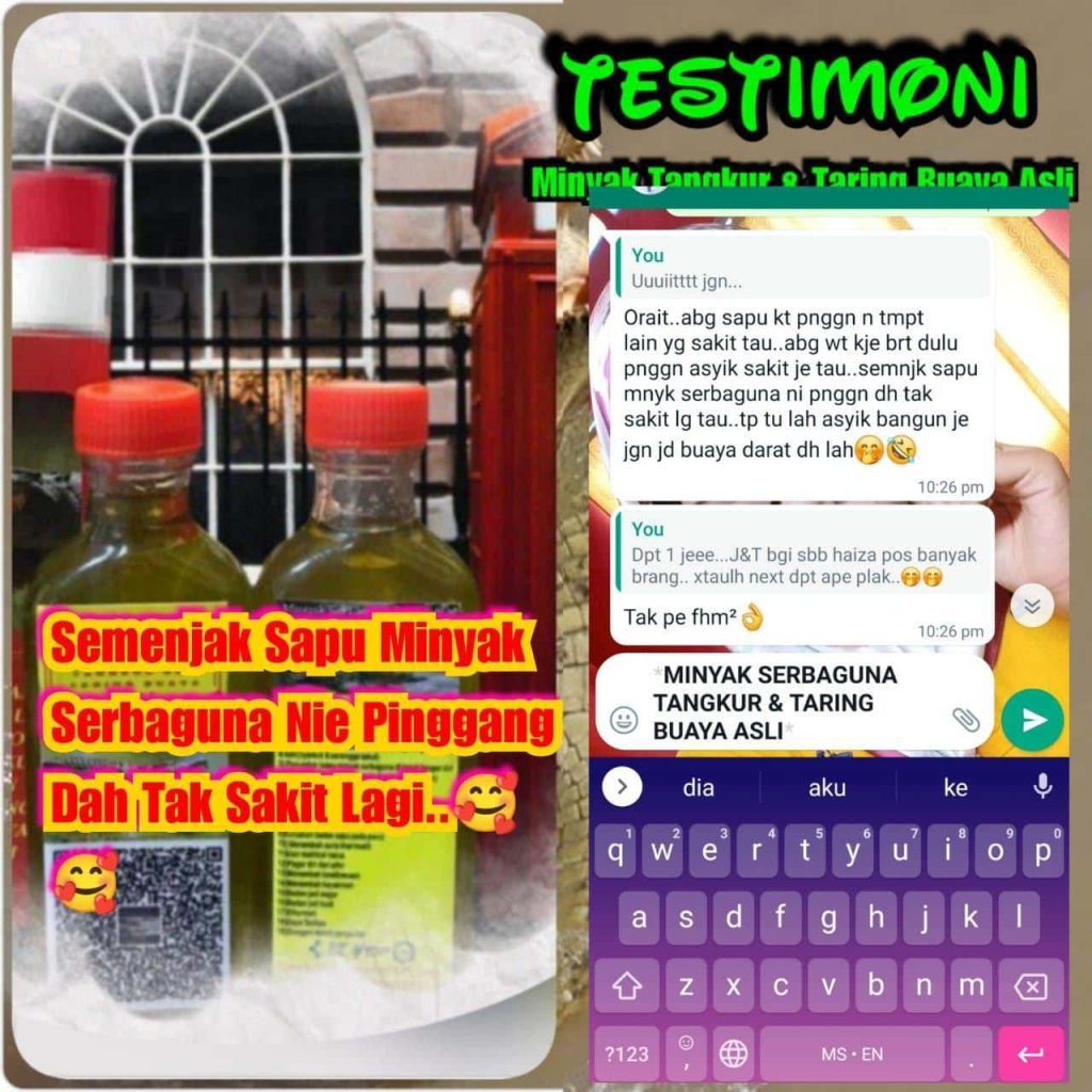 MINYAK TANGKUR BUAYA TARING 15 MINYAK TANGKUR BUAYA TARING