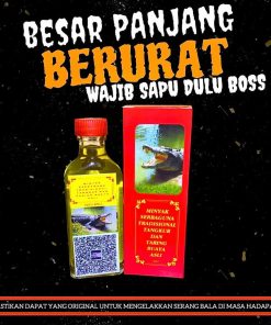 minyak tangkur buaya taring