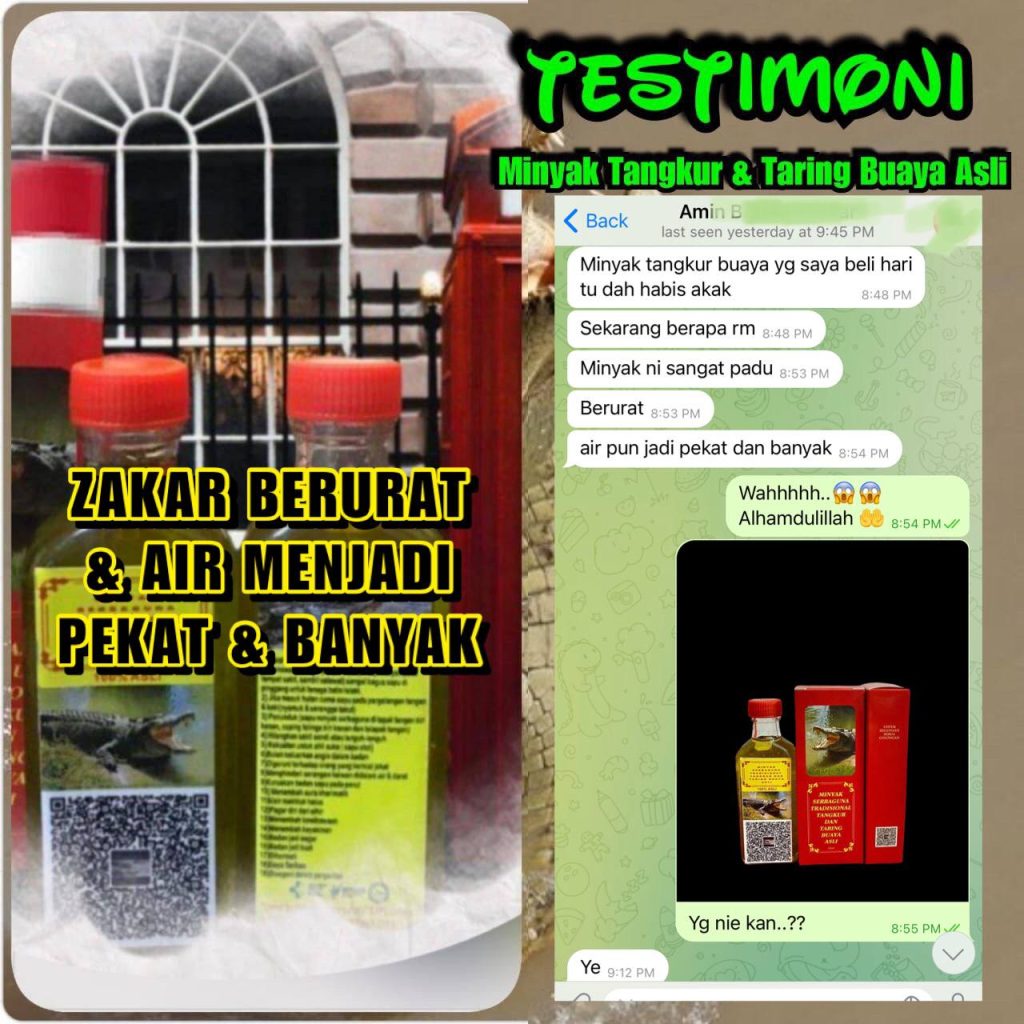 MINYAK TANGKUR BUAYA TARING 7 MINYAK TANGKUR BUAYA TARING