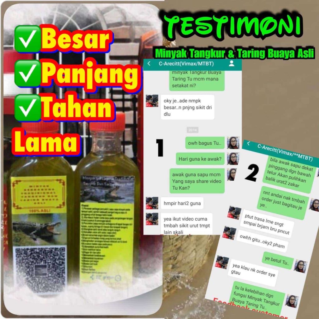 MINYAK TANGKUR BUAYA TARING