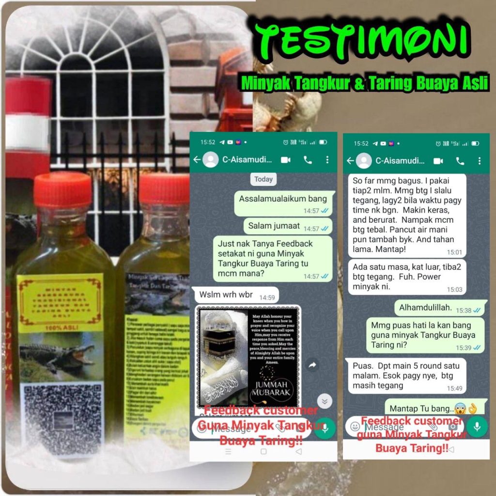 MINYAK TANGKUR BUAYA TARING