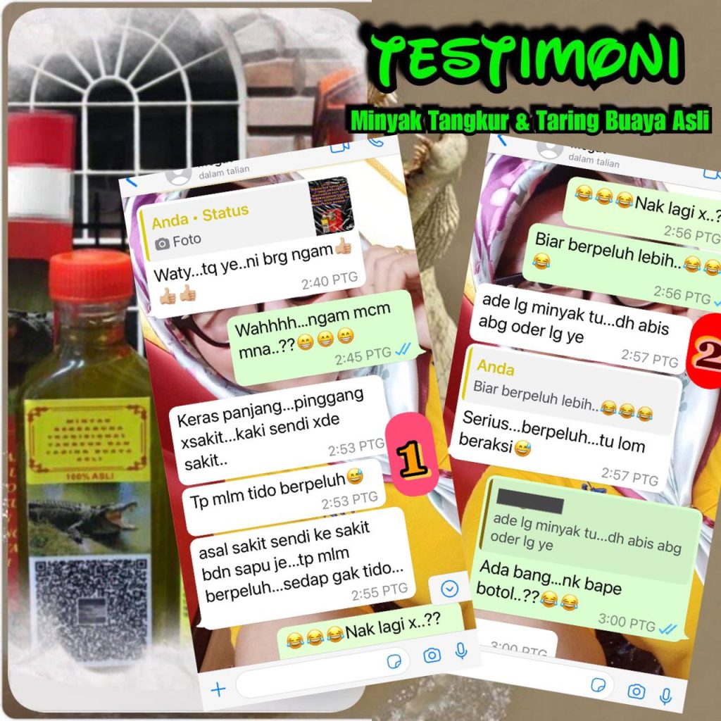 MINYAK TANGKUR BUAYA TARING 9 MINYAK TANGKUR BUAYA TARING