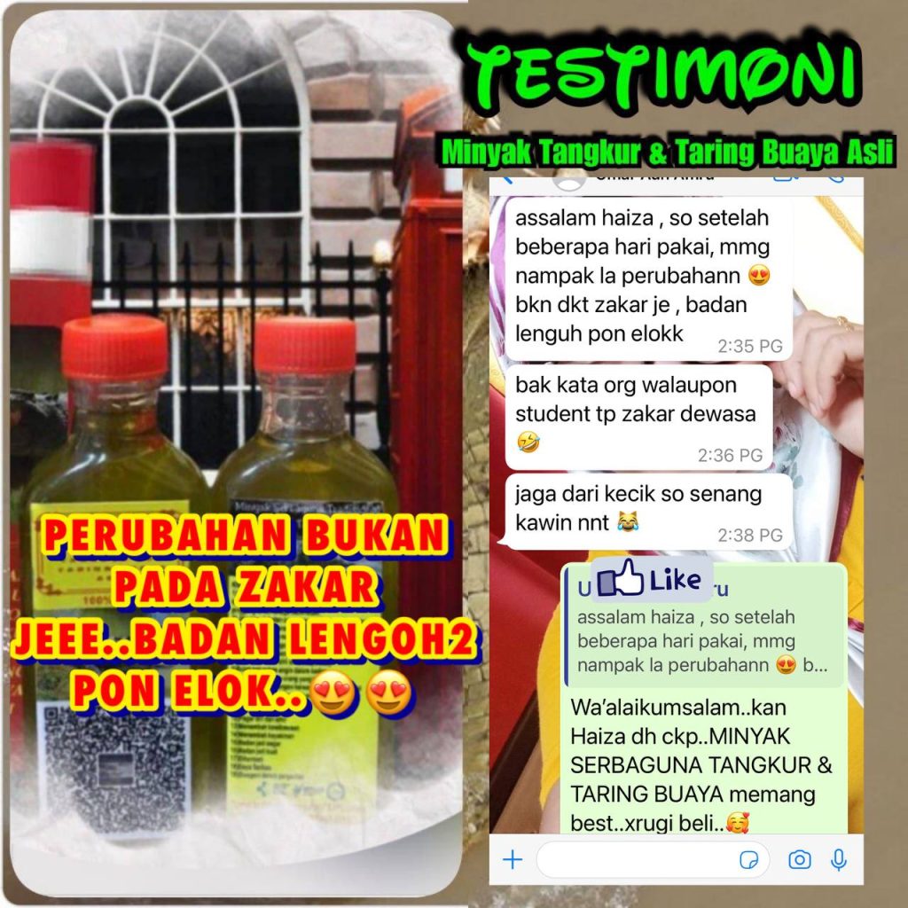 MINYAK TANGKUR BUAYA TARING 11 MINYAK TANGKUR BUAYA TARING