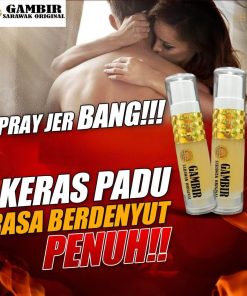 GAMBIR SARAWAK ORIGINAL