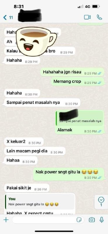 GAMBIR SARAWAK ORIGINAL