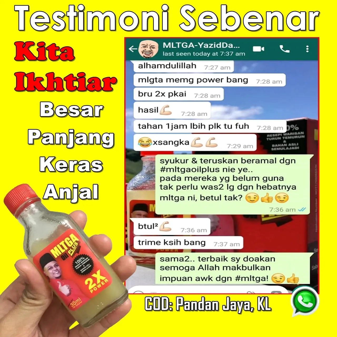 MINYAK LINTAH TRADISI GUNUNG ASLI