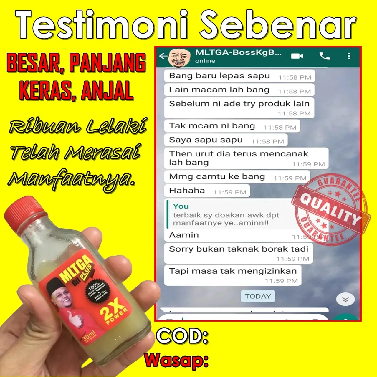 MINYAK LINTAH TRADISI GUNUNG ASLI