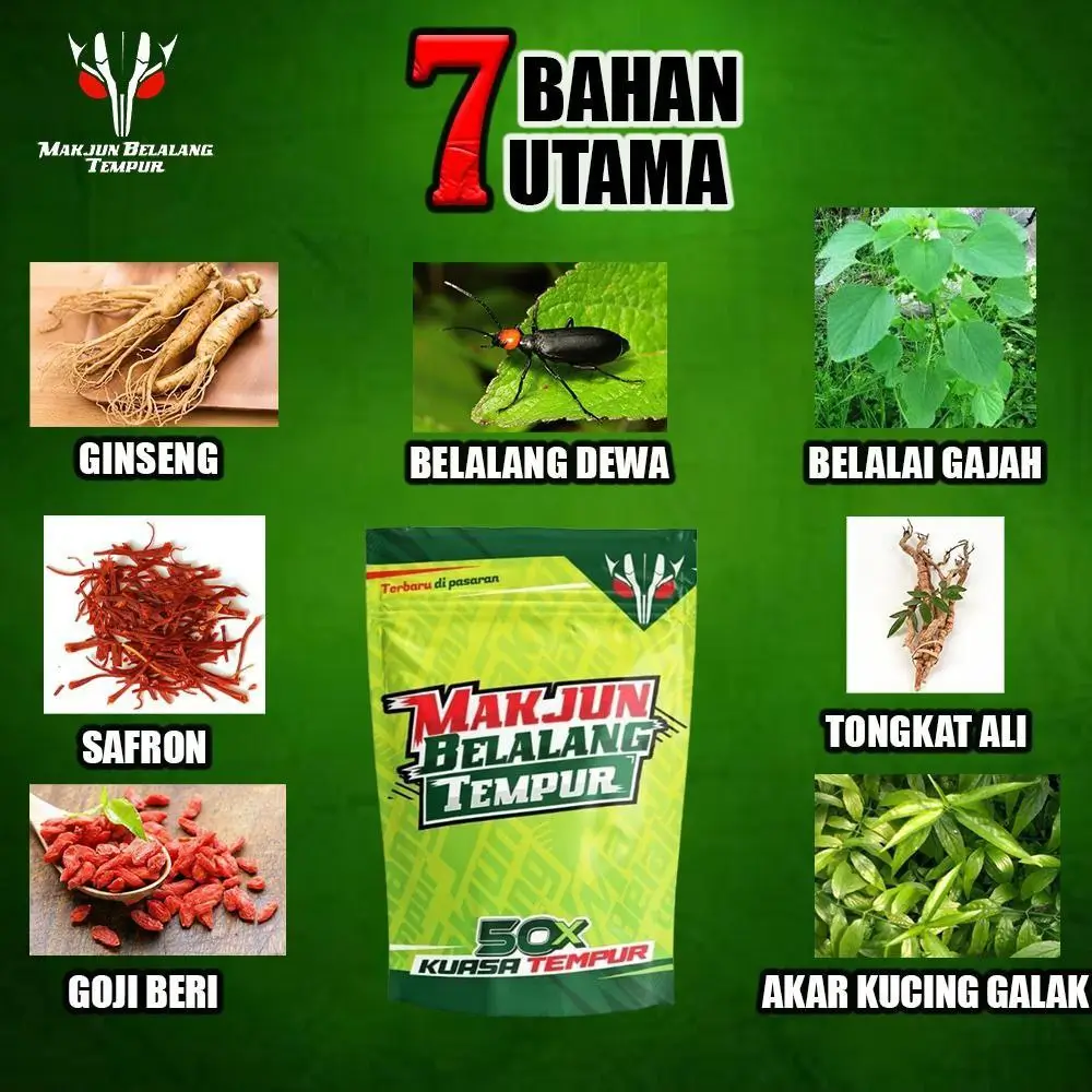 MAKJUN BELALANG TEMPUR