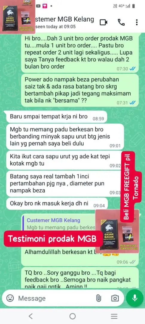 MINYAK GAJAH BAGAK MENGAWAN
