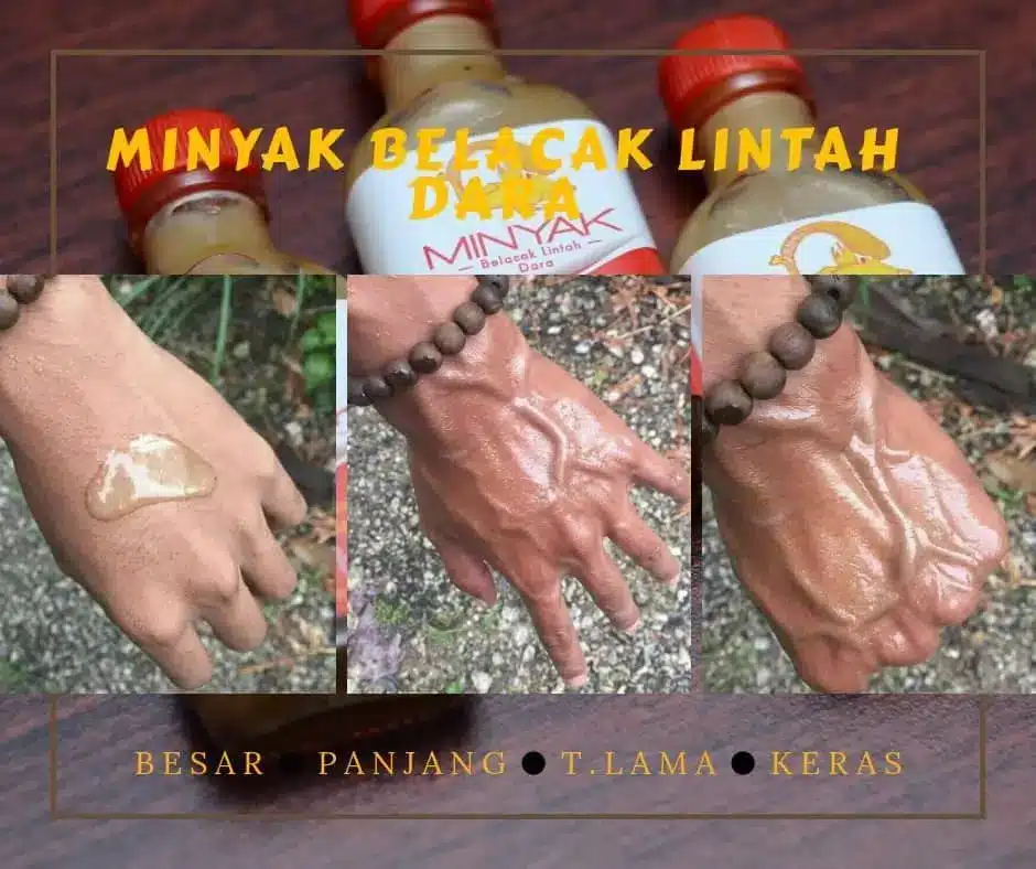 MINYAK BELACAK LINTAH DARA